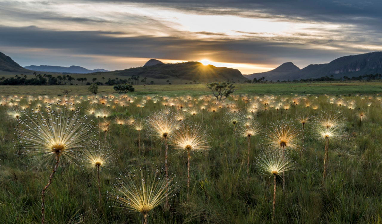 Parques Naturais do Brasil