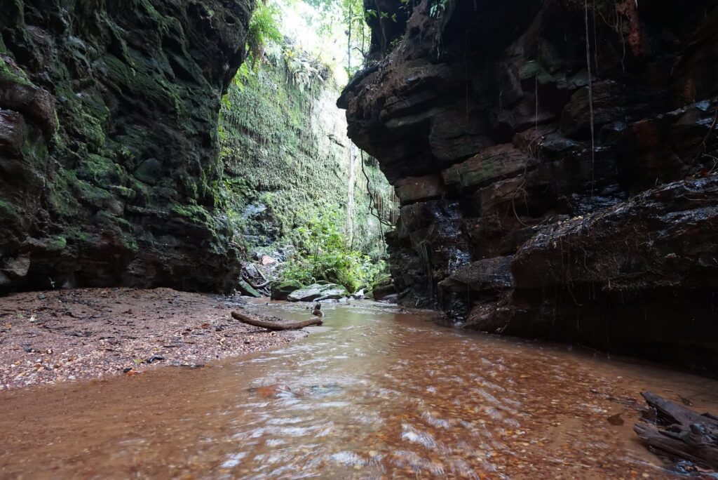 Parque Nacional de Aparados da Serra intensifica ações de conservação para proteger os cânions da Serra Geral