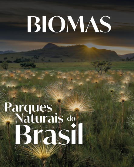 Parques Naturais do Brasil