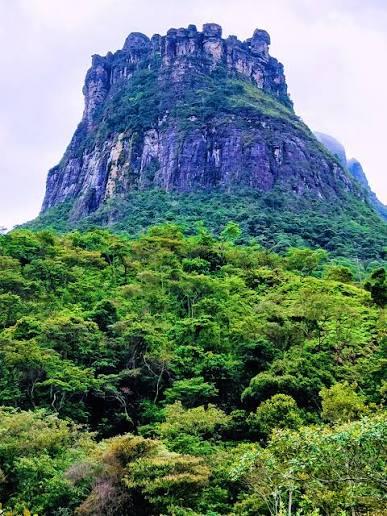 Parques Naturais do Brasil Parques Naturais do Brasil