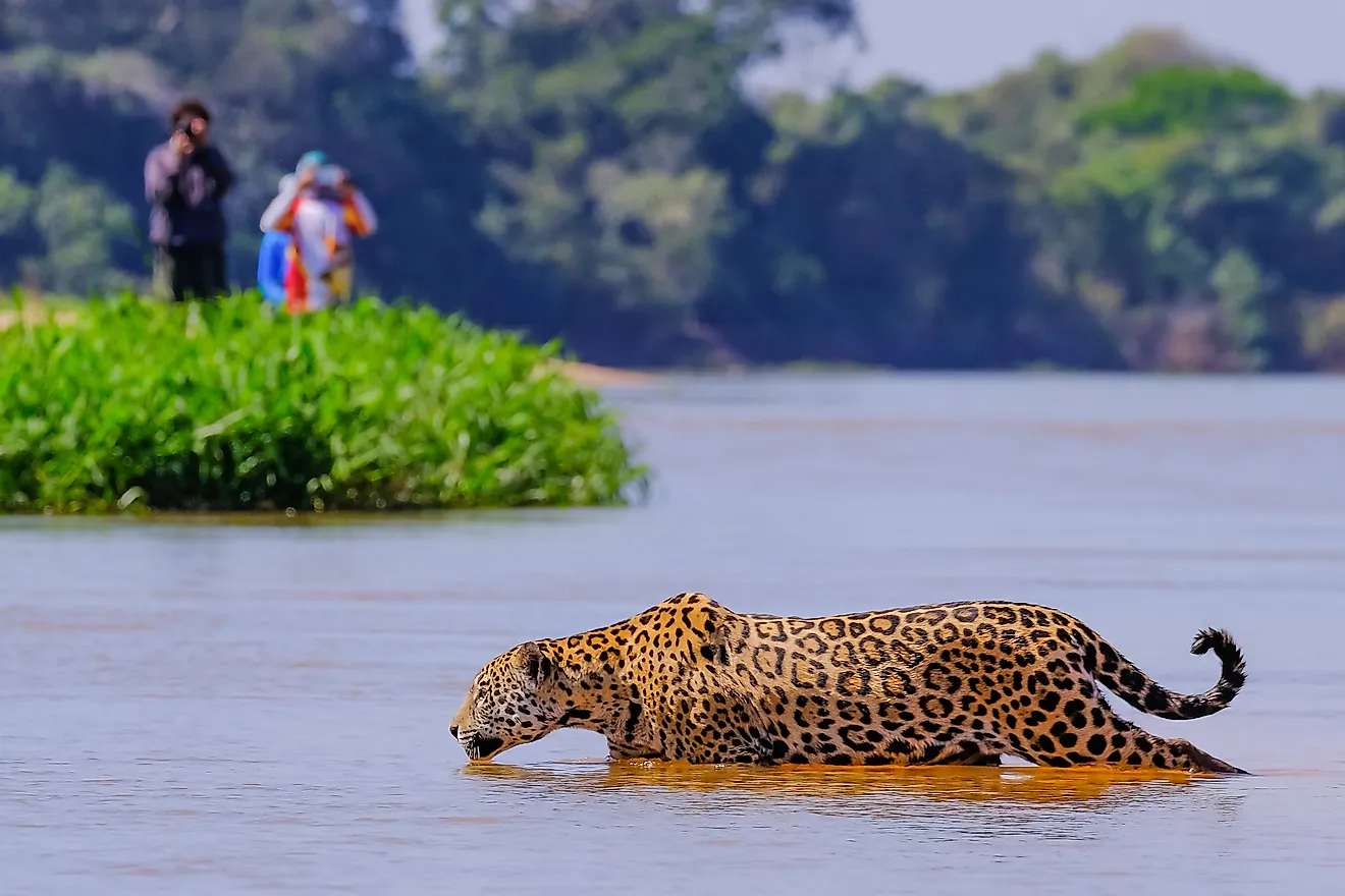 Parques Naturais do Brasil