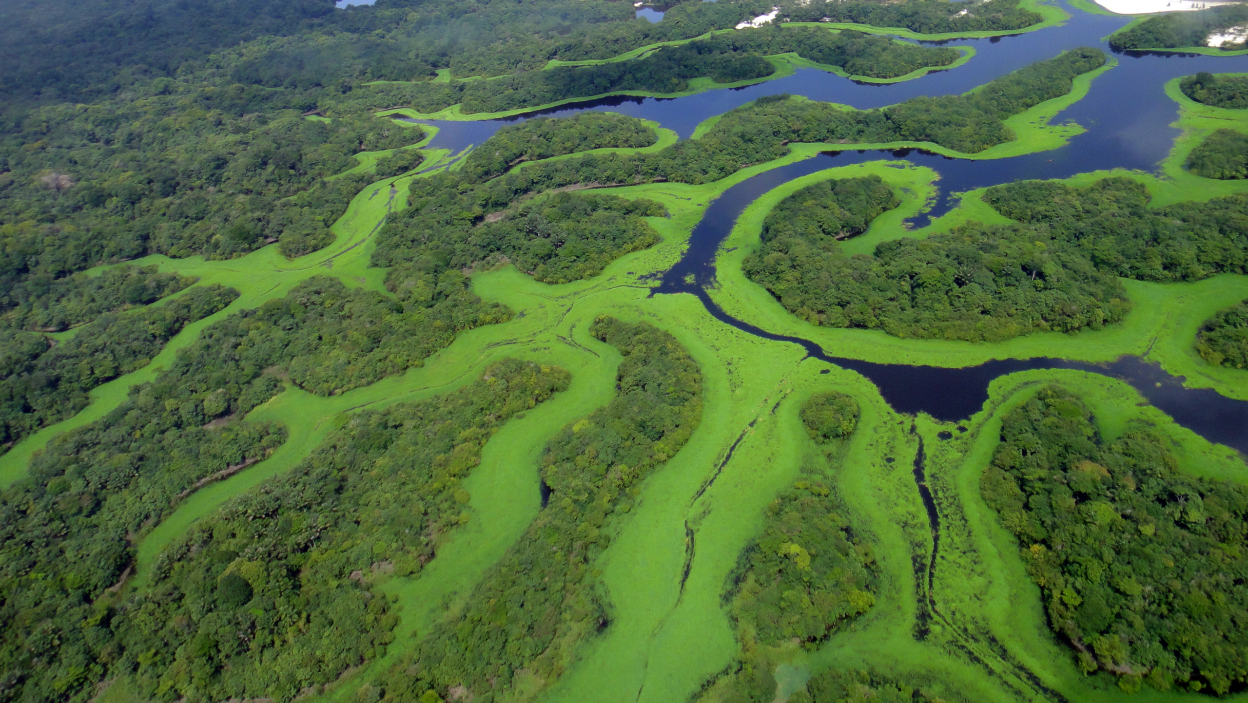 Parques Naturais do Brasil