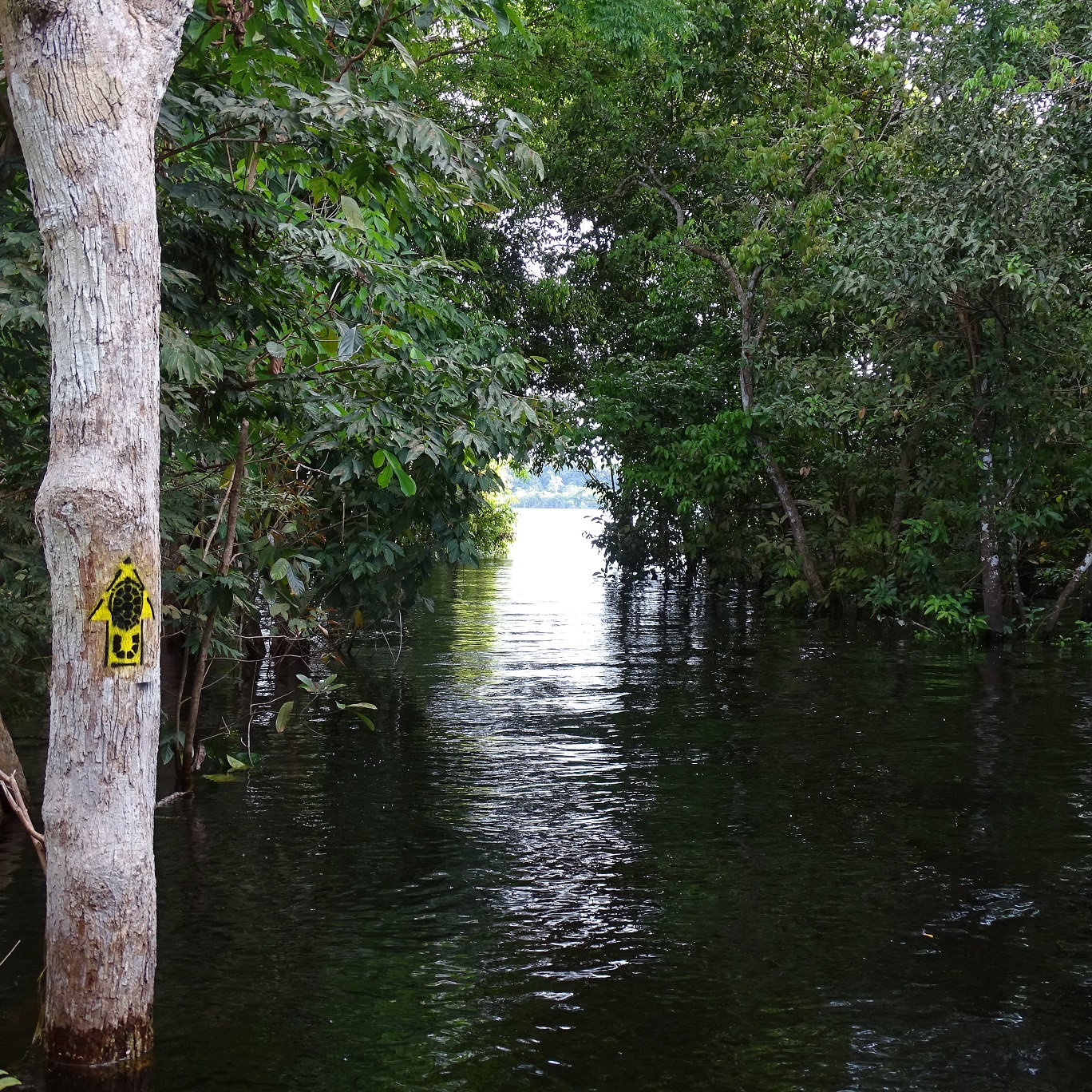 Parques Naturais do Brasil