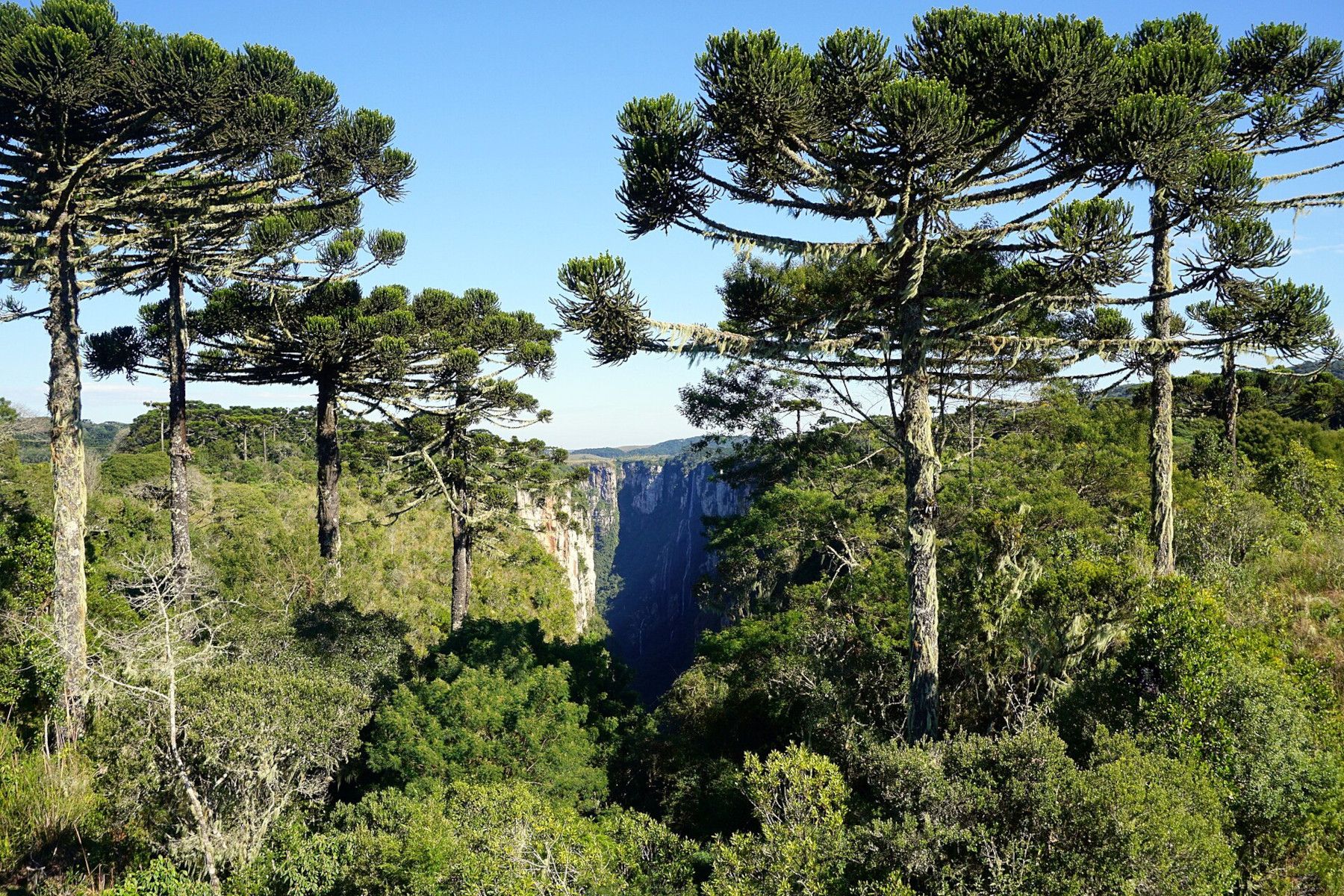 Parque Aparados da Serra
