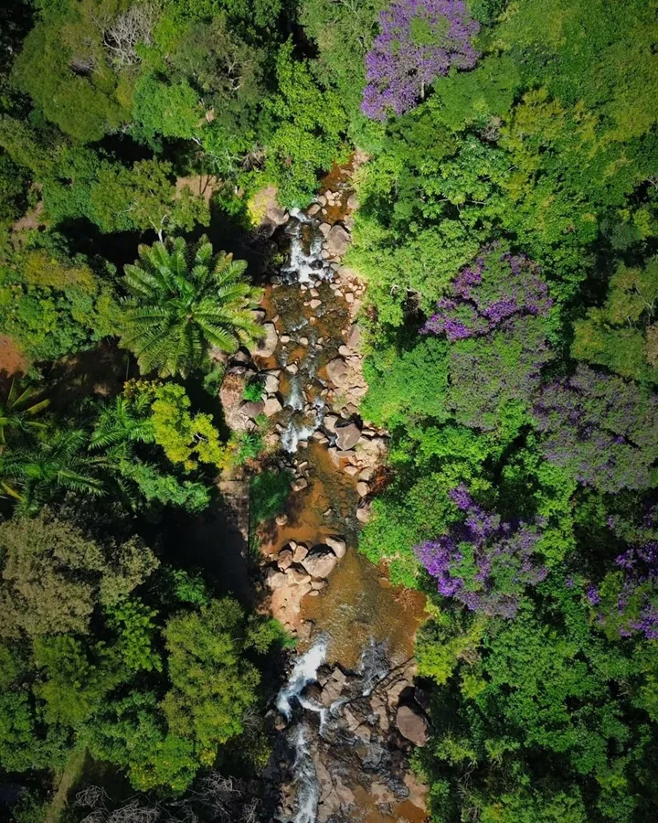 Parques Naturais do Brasil Parques Naturais do Brasil