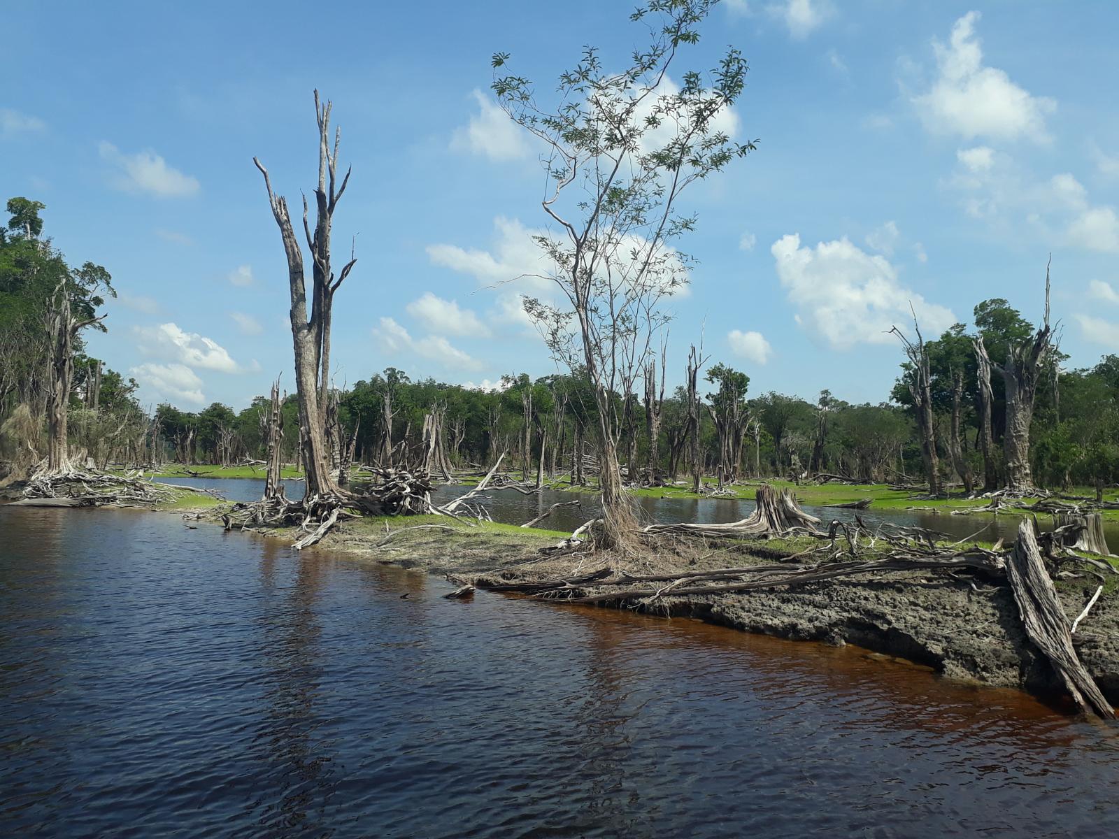 Parques Naturais do Brasil