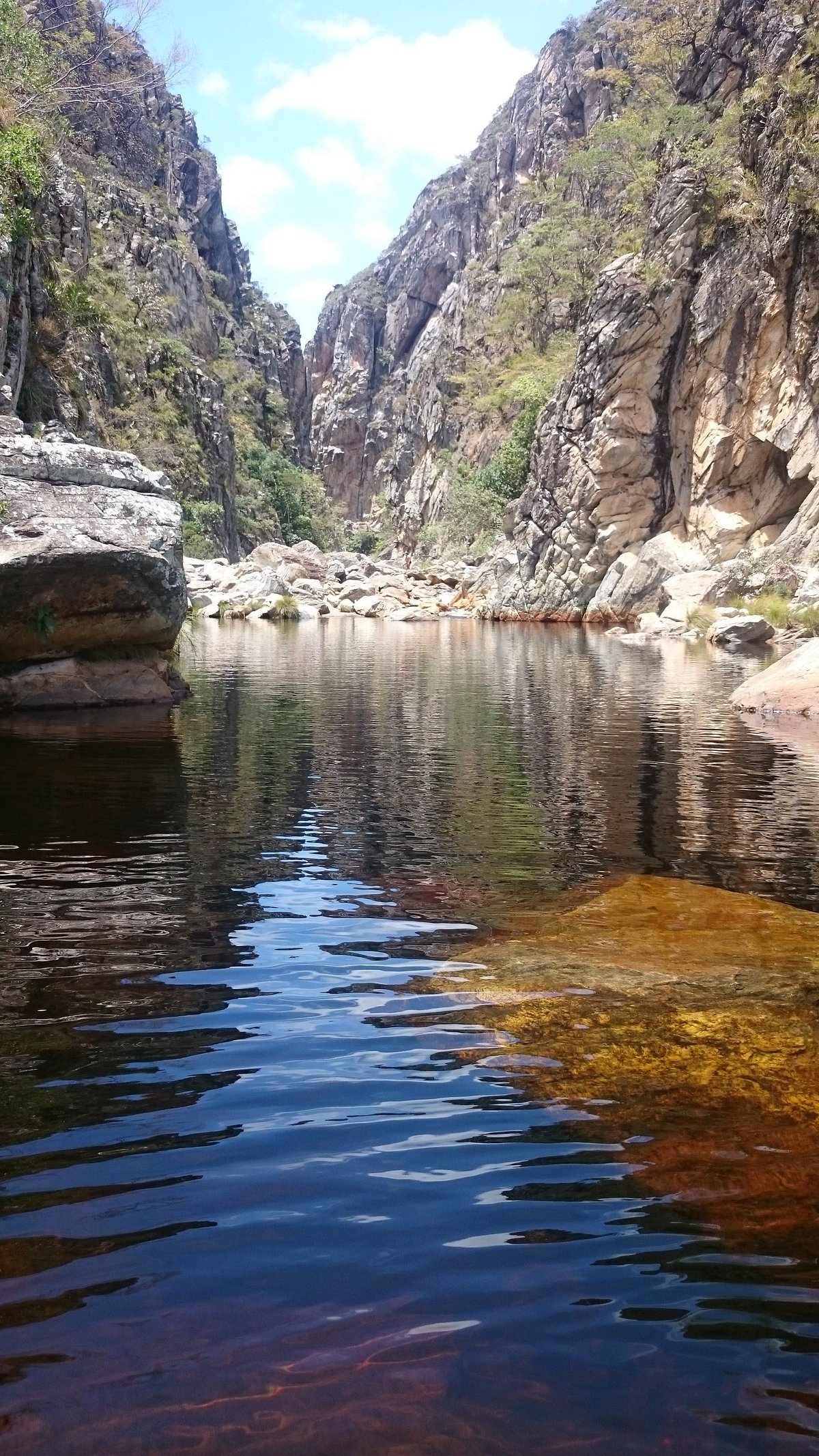 Parques Naturais do Brasil Parques Naturais do Brasil