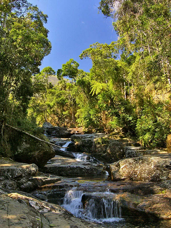 Parques Naturais do Brasil Parques Naturais do Brasil