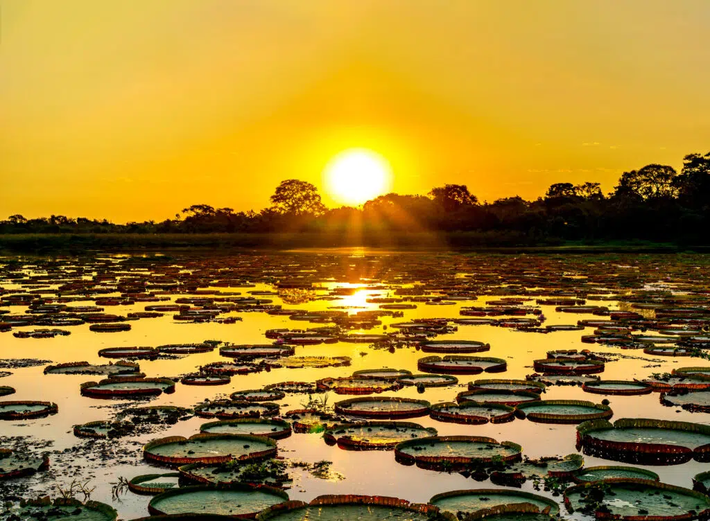 Parques Naturais do Brasil