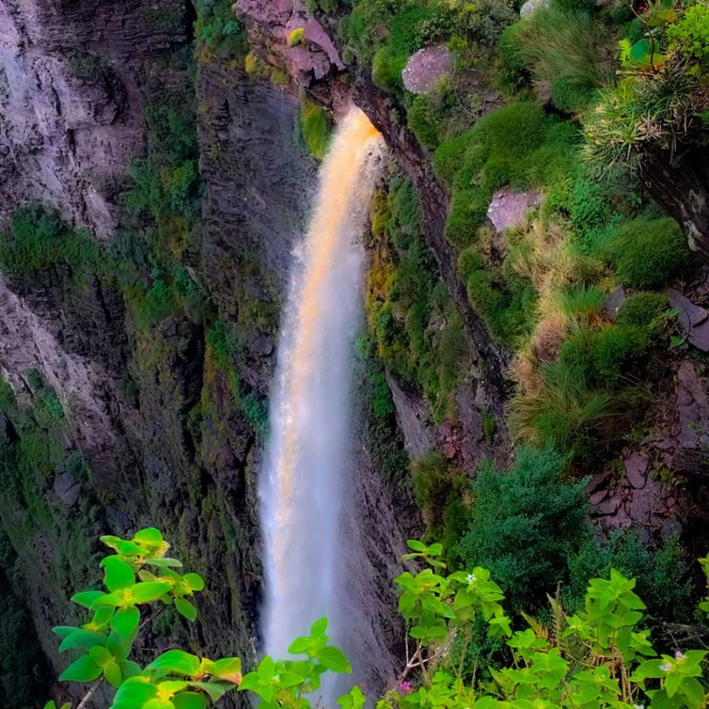 Parques Naturais do Brasil Parques Naturais do Brasil