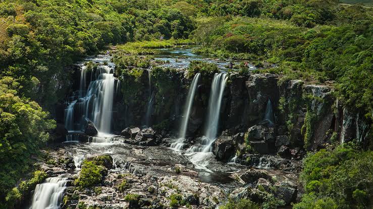 Parques Naturais do Brasil Parques Naturais do Brasil