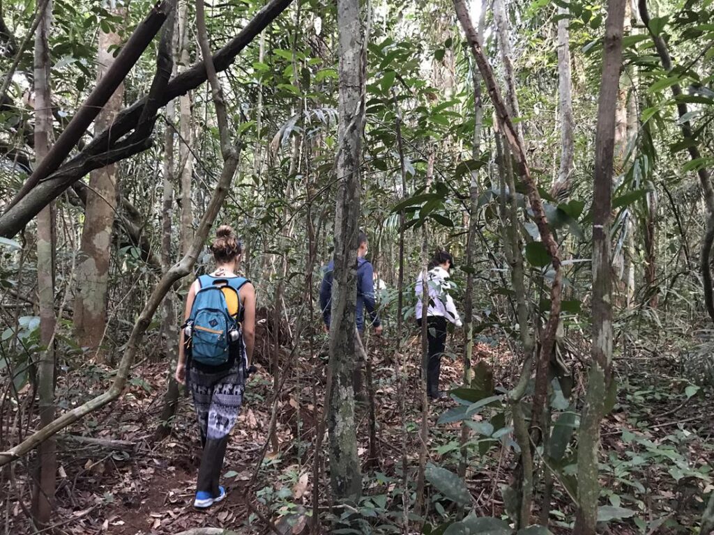 Monitoramento da fauna no Parque Nacional de Anavilhanas reforça importância da conservação da biodiversidade amazônica