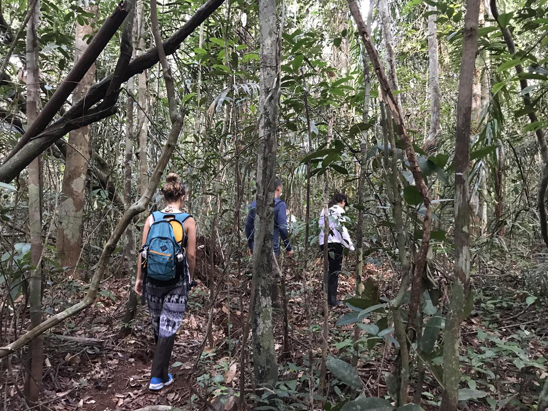 Parques Naturais do Brasil