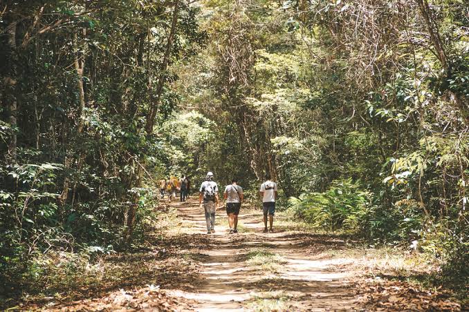 Parques Naturais do Brasil Parques Naturais do Brasil